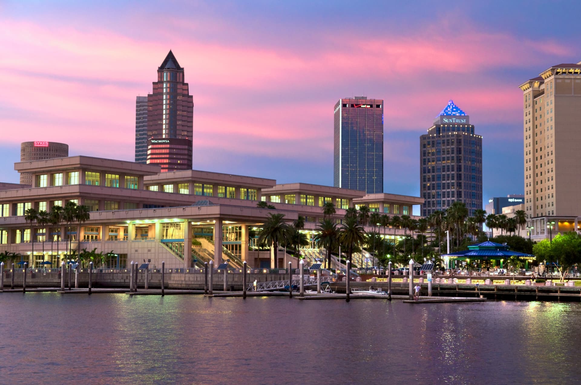 Tampa has so much to offer